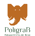 My Website